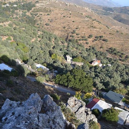 Garden Of Olive Trees Villa Asfendiles Buitenkant foto