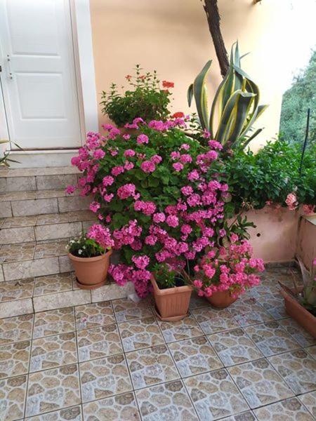 Garden Of Olive Trees Villa Asfendiles Buitenkant foto