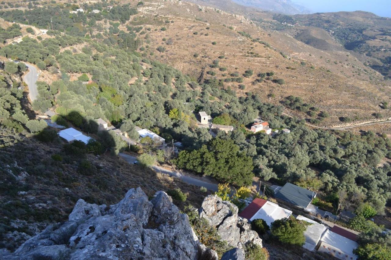 Garden Of Olive Trees Villa Asfendiles Buitenkant foto
